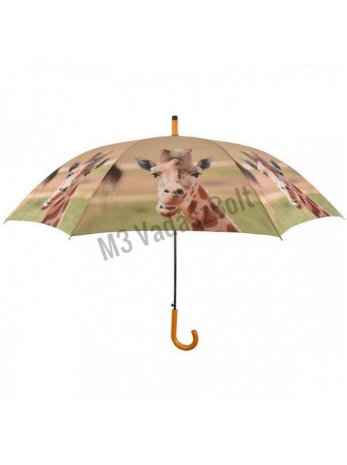 Zsiráfos esernyő