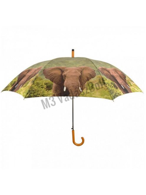 Elefántos esernyő