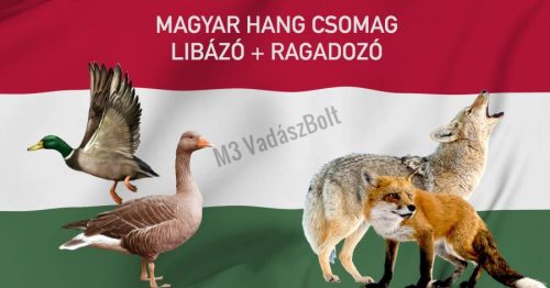Foxpro hanghívó programozás, magyar hangokkal, nagy csomag