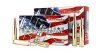 Hornady American Whitetail .243Win BTSP Interlock 100gr 6.5g