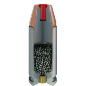 .22 WinMag FTX 2.9g 45gr Critical Defense