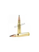 Remington Core-Lokt Tipped .308 Win 165gr