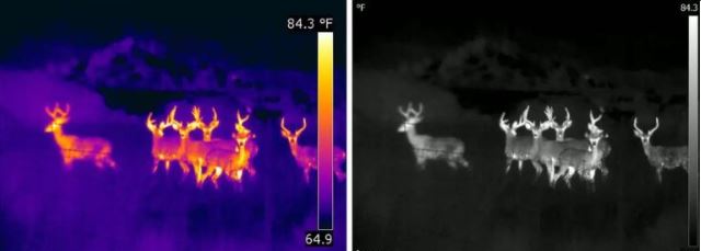 A Sötétség Mesterei: Miért válasszunk hőkamerát az éjjellátóval szemben?